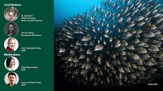 Are we making progress on reducing Illegal, Unreported, and Unregulated fishing?