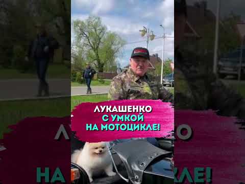 Лукашенко проехал на МОТОЦИКЛЕ с Умкой! // 