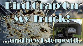 How I Keep Bird Poop Off My Truck!