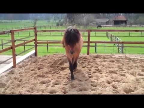 Kronshof-Impressionen 12.04.2012 - www.kronshof.de