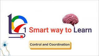 Class 10 Control and Coordination | 7.1.3 | How are these Tissues protected?