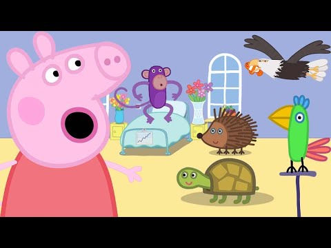 Peppa Pig Learns About Animals at The Vets! 🐷🏥 Nursery Rhymes and Kids Songs