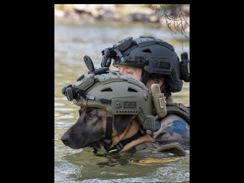 Man's First Friend   3 min documenatry The Epic Story Of Humans And Dogs   Are dogs fun Dogs’ though