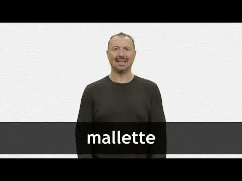 How to pronounce MALLETTE in French