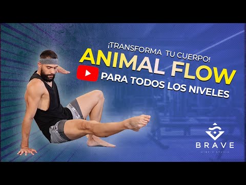 Rutina de ANIMAL FLOW para todos los niveles.