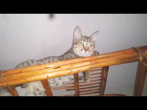 Kuch to gadbad hai yahan 😕😕😞😞