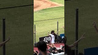 【Rakuten Girls】@桃園棒球場 20241026 #台湾チア #cheerleading #cheerdance #rakutengirls