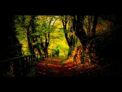 The Wallflowers - Into the Mystic