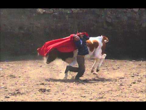 llicchivilca conjunto sangre grauina