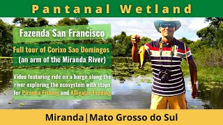 preview picture of video 'Corixo São Domingos & Piranhas Fishing, Pantanal, Brazil'