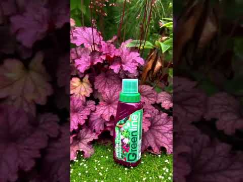 Миниатюра изображения товара Удобрение GREENLINE Для цветов и комнатных растений / 011-Ц-285 (285мл)