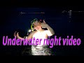 Night Underwater Video Adriatic Sea Mila Naturist Family Mila Naturist