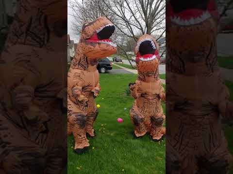 Dino patty cake 2020