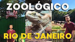 Fui conhecer o BioParque do Rio!🦁
