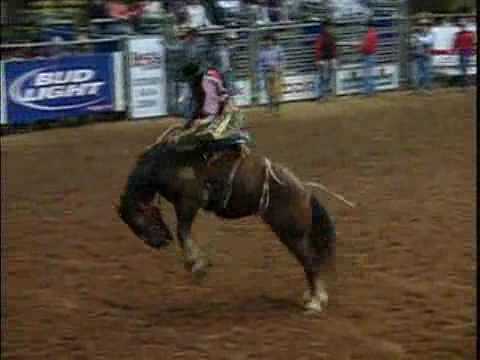 Saddle Bronc Riding | HRS Rodeo