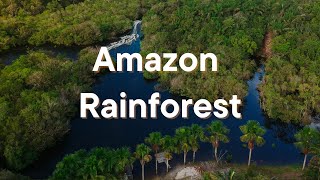 Amazon Rainforest