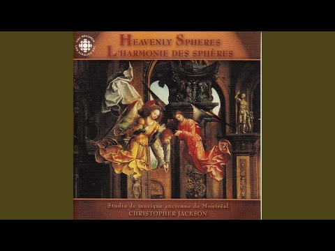 Tulerunt Dominum meum