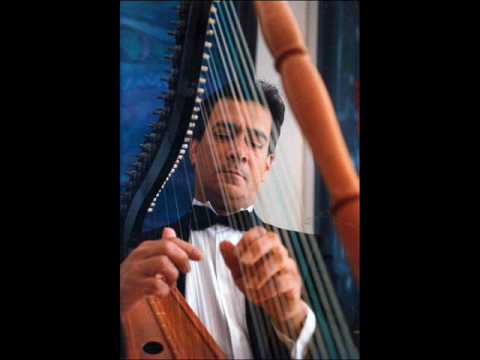 HENRY RUBIO Y SU ARPA VENEZOLANA .wmv