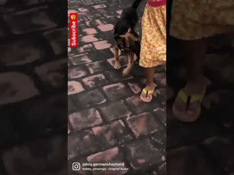 Gomathi Valikutha😂😅😆#shorts#instareels #sivakarthikeyan #comedy#doctormovie