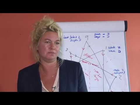 Professionelles Enneagramm Training