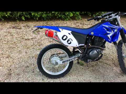 TTR 230 Big Gun EVO R