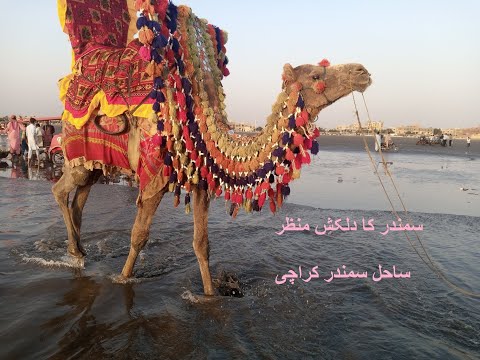 Sea View Karachi | Clifton Beach | Nishan E Pakistan | First Vlog |