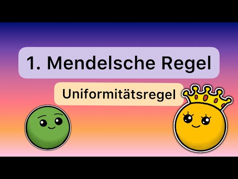 Die 1. Mendel‘sche Regel: Uniformitätsregel
