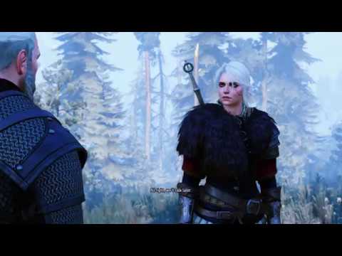 The Witcher 3  Ciri Warrior Outfit (Both Player and NPC)