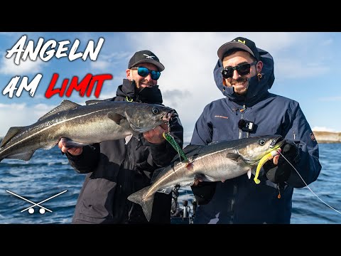 Fishing to the limit! In the fjord for pollock/coalfish in Norway