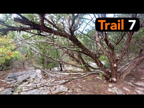 Little Springs Trail Video Thumbnail