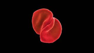 Peter Gabriel      The Power Of The Heart