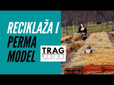 RECYCLING AND PERMA MODELS