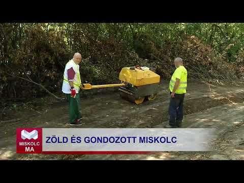 Videó előnézet