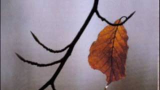 Summersong in the Autumn