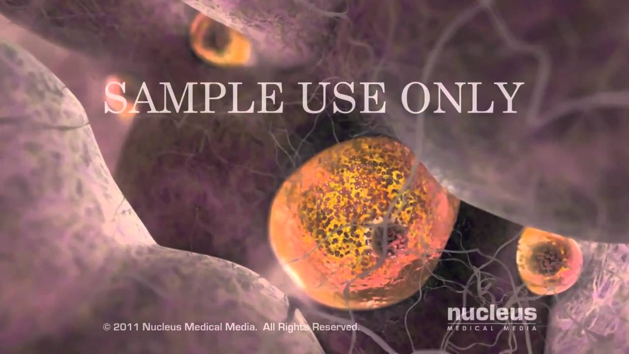 Griselda Reyes Torres-117