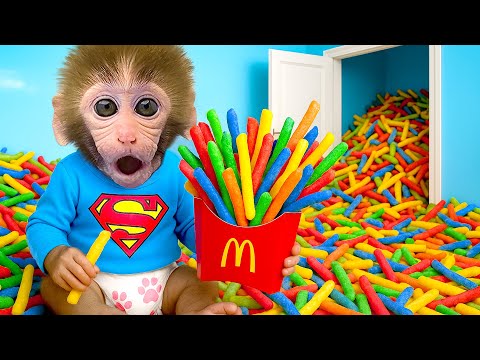 Affe Bon Bon sucht sein vom Dinosaurier gestohlenes Rucksack - HT Tierwelt