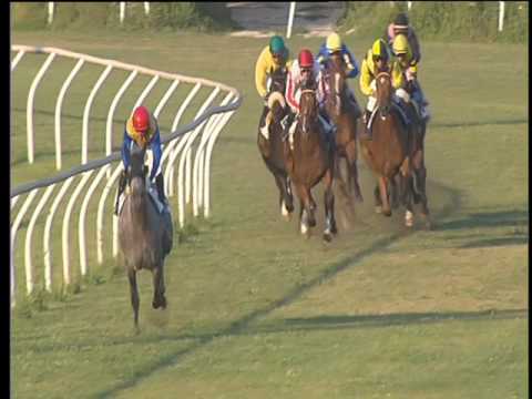 Galoppo 21/06/2017 - 7ª corsa