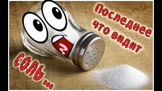 Приколы с котами с ОЗВУЧКОЙ! САМОЕ СМЕШНОЕ ВИДЕО - Последнее что видит соль - DOMI SHOW