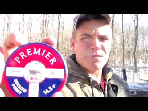 Part 1 of Reviewing the Gamo ACCU.