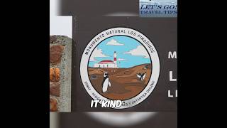 Puente Arenas Excursions: Tender Port Challenges Revealed! #shorts