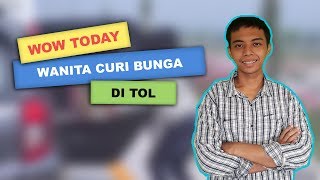 WOW TODAY: Viral Video Wanita Curi Bunga di Jalan Tol Pandaan-Malang, Begini Nasibnya