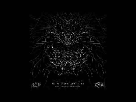 Ancestraliens - Huni Kuin