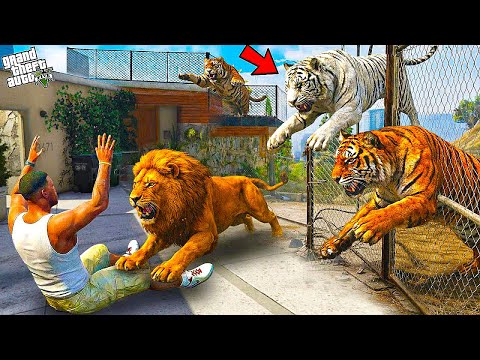 ФРАНКЛИН ҮЙІН ЖОЛБАРЫСТАРДАН ҚОРҒАДЫ (GTA V)