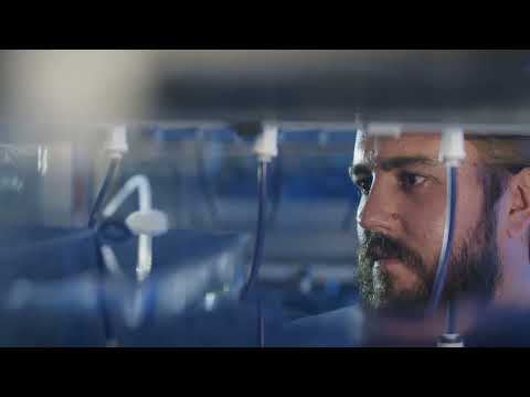 Heart Repair with Zebrafish: Unlocking the Science of Regeneration