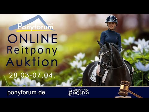 Galaxy P Stute 2020 Goldrichtig P / Chantré B