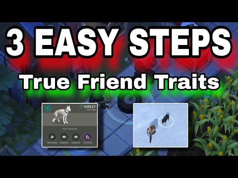 How to Get True Friend Dogs Step by Step Guide and Tips Last Day on Earth Survival