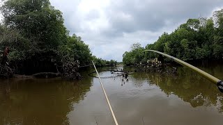 Download lagu PENASARAN!!! Ini Jadinya Kalo Mancing Barramundi Pakai Joran Tegek mp3