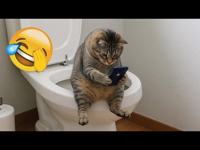 Crazy Funny Cats Compilation 2026 😹 Most Viral Cat Moments You Must Watch SDDEFAULT Thumbnail