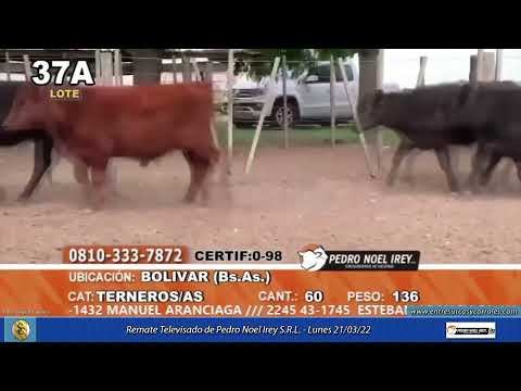 21-03-22 - Remate Televisado de Pedro Noel Irey S.R.L.