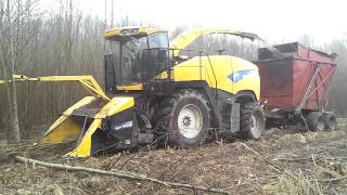 preview picture of video 'New Holland Willowharvesting Solvarbo Sweden'